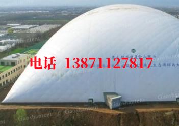 莺歌海镇气膜棚卷帘门,电动门